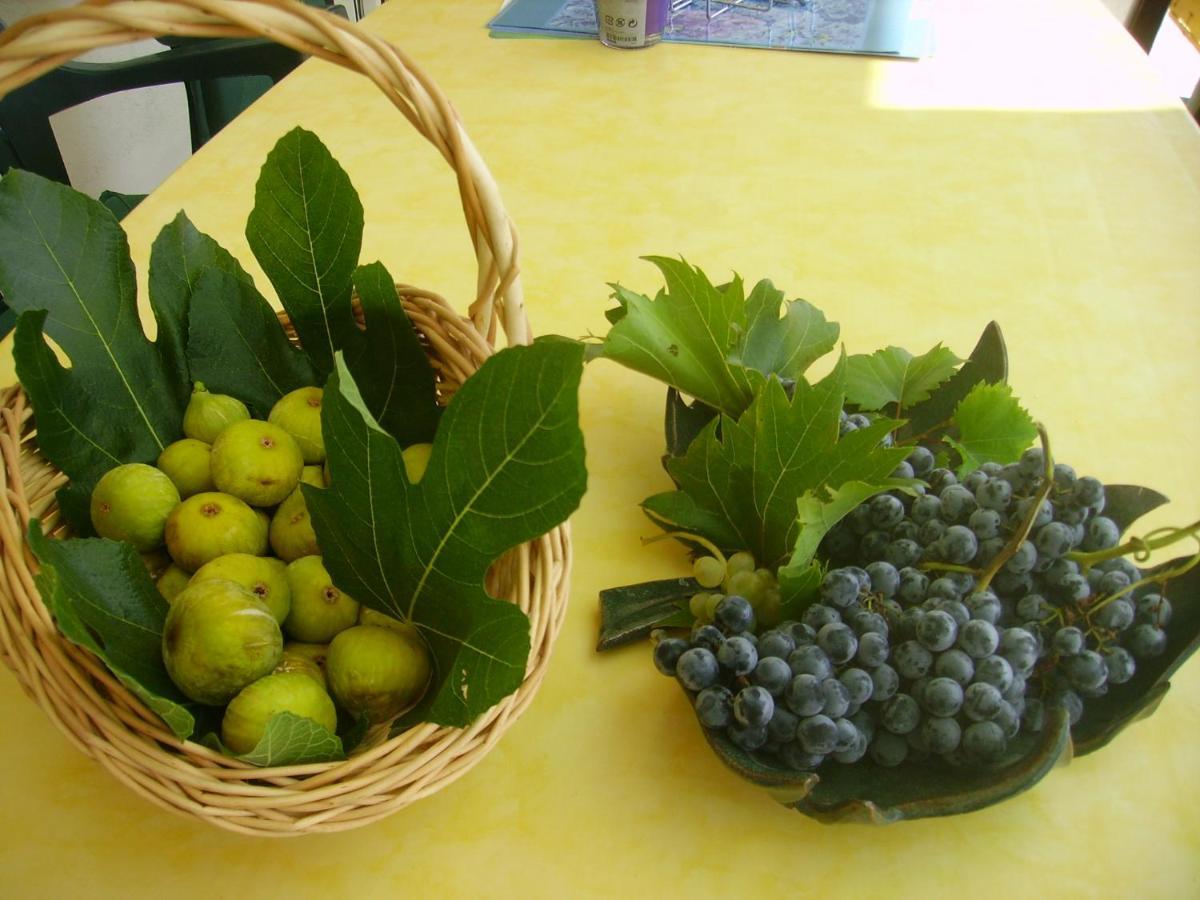 Apartmani Braut Kornić Buitenkant foto